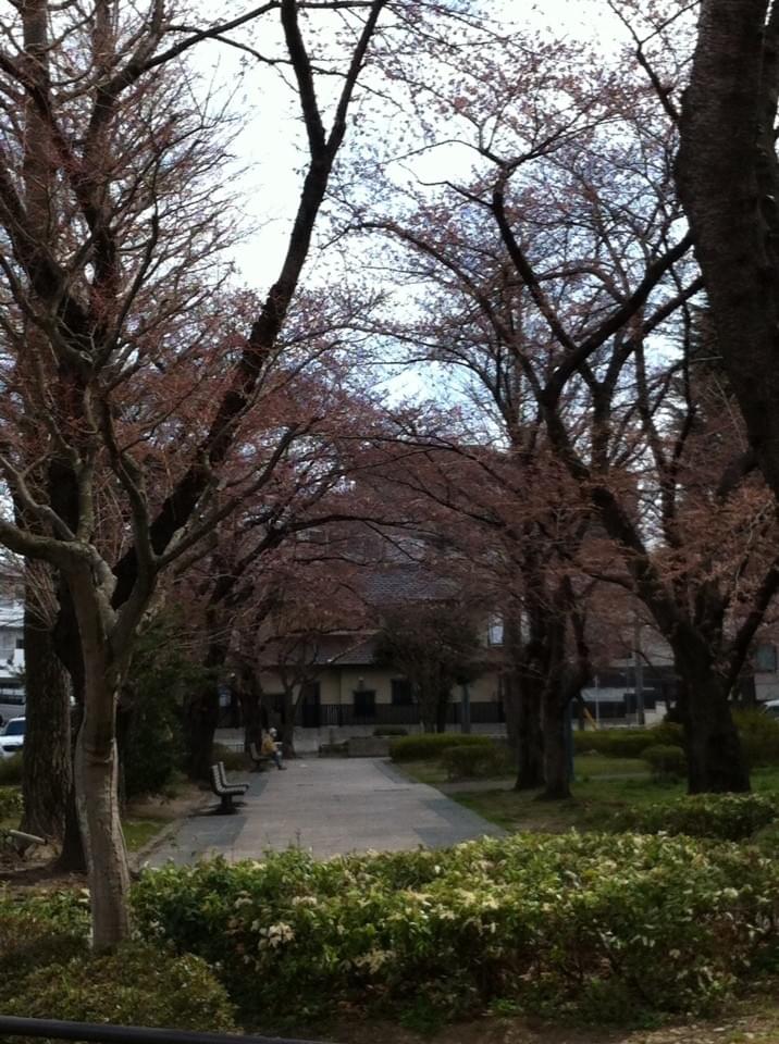投稿写真