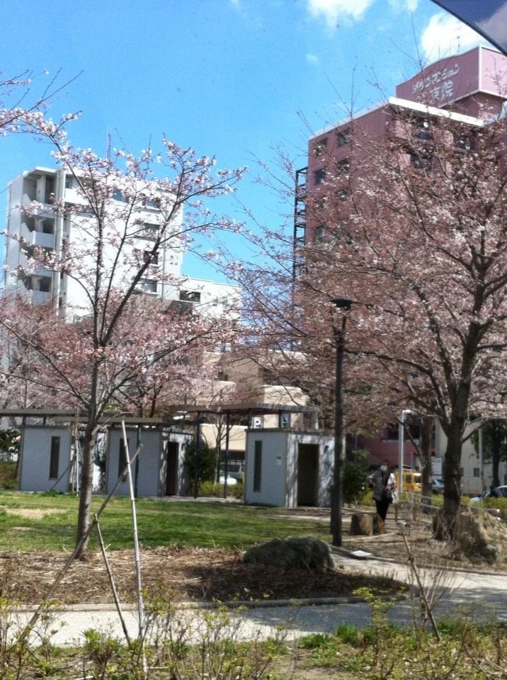 投稿写真