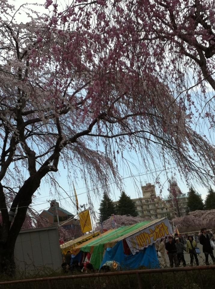 投稿写真