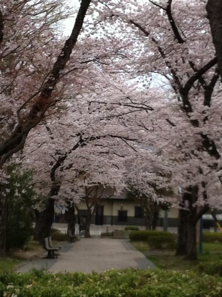 投稿写真