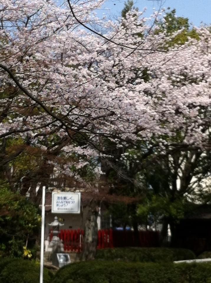 投稿写真