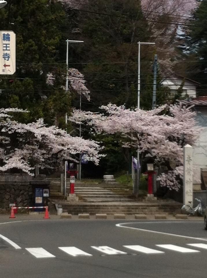 投稿写真