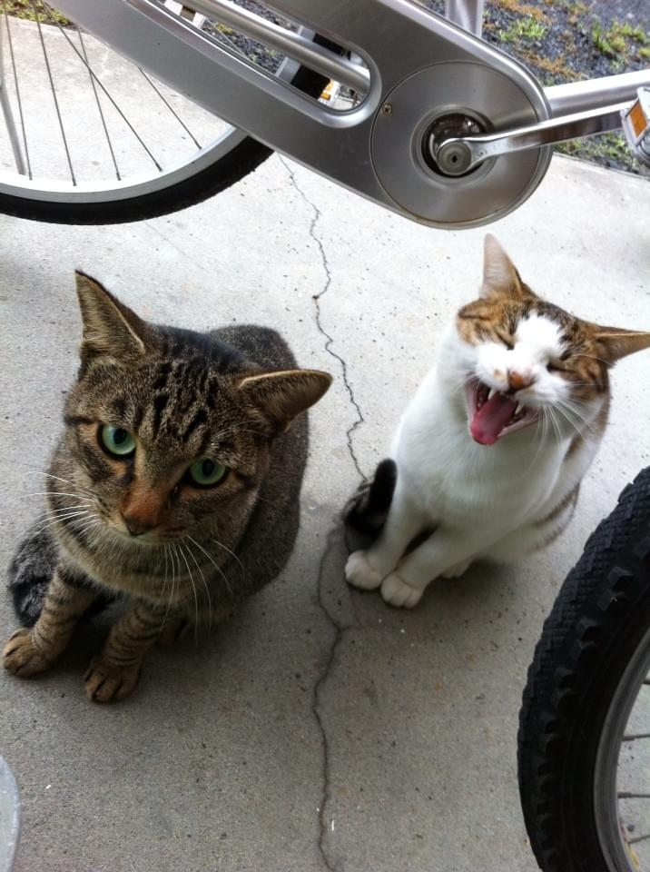 投稿写真