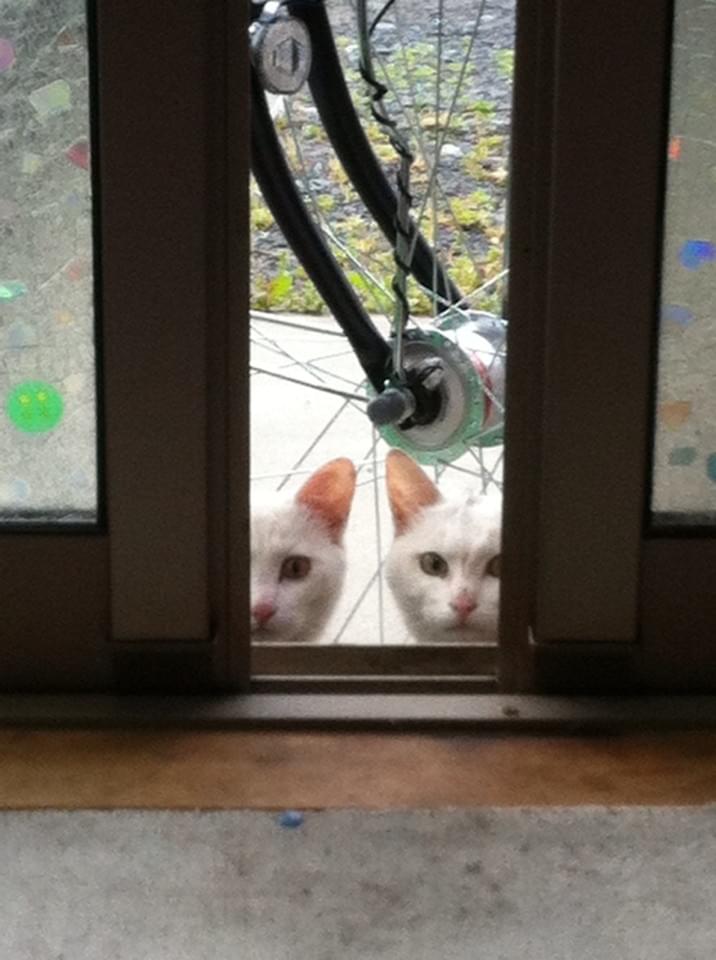 投稿写真