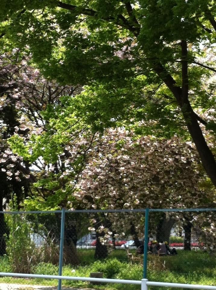 投稿写真