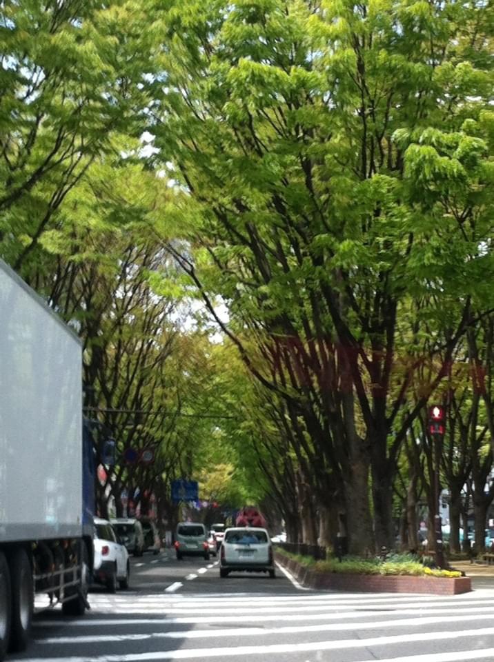 投稿写真