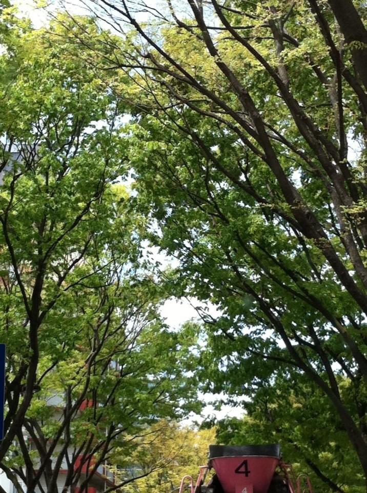 投稿写真