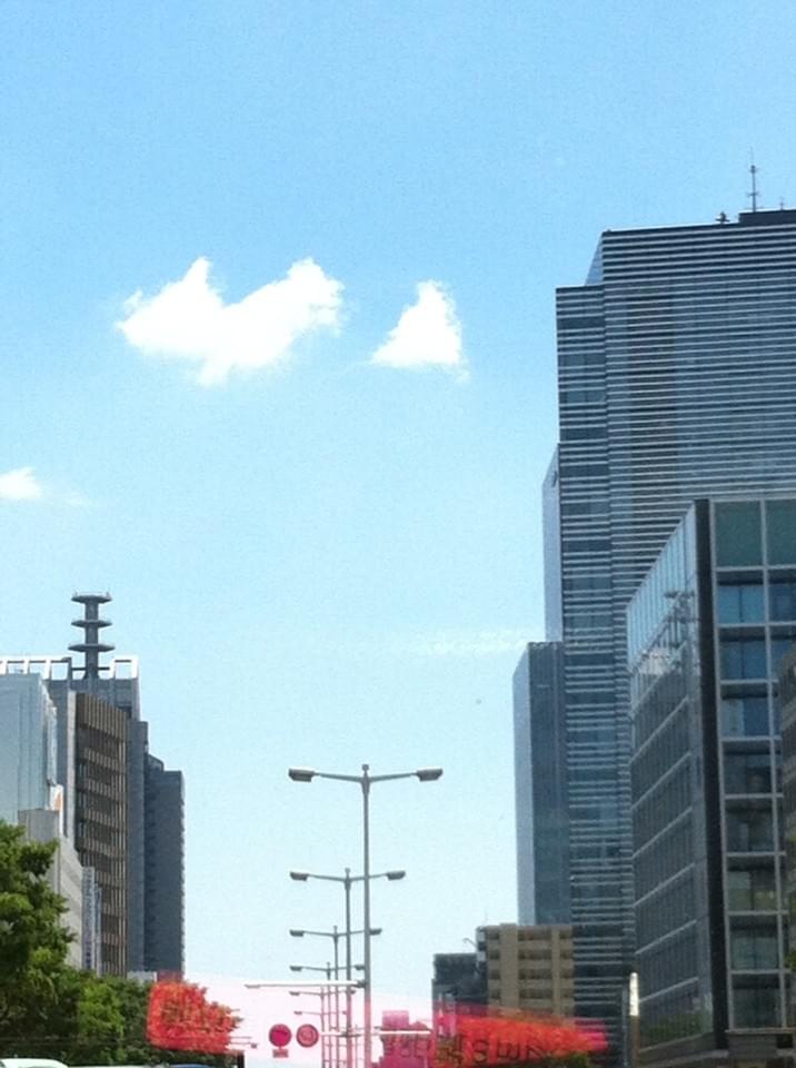 投稿写真