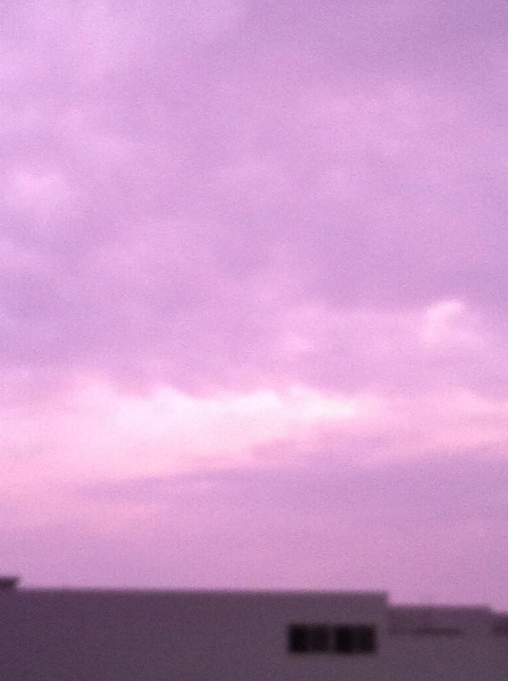 投稿写真