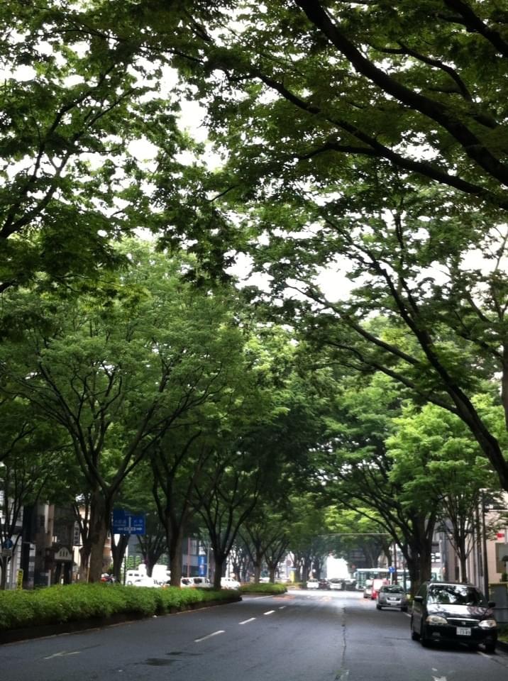 投稿写真