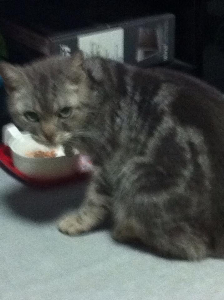 投稿写真