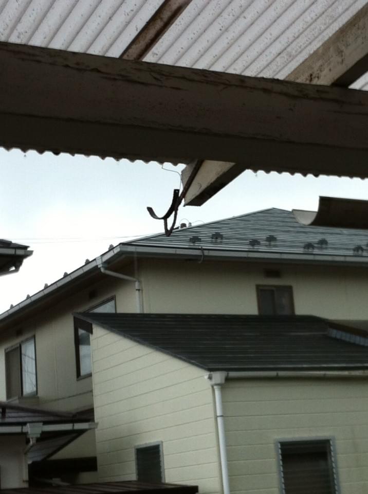 投稿写真