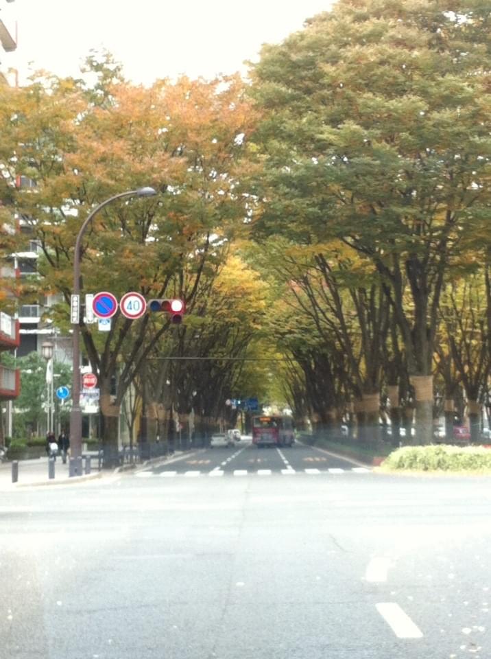 投稿写真
