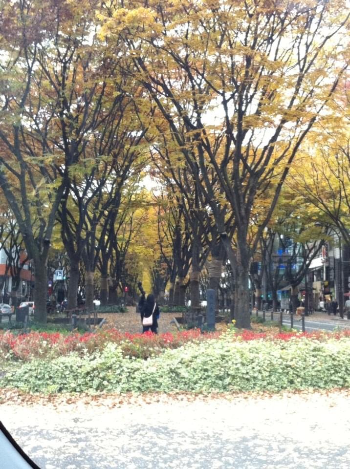 投稿写真