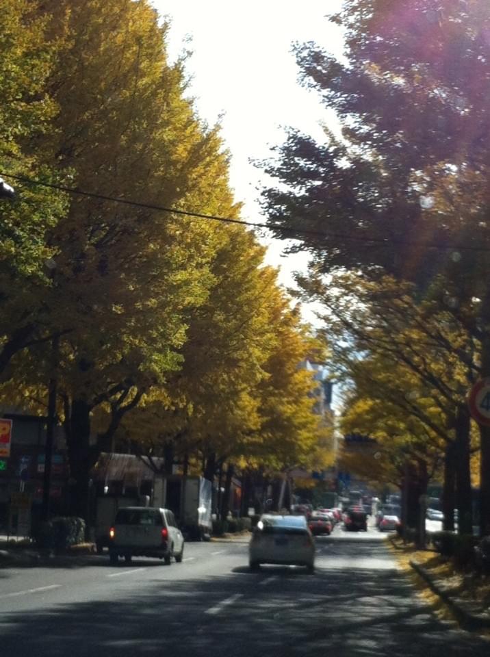 投稿写真