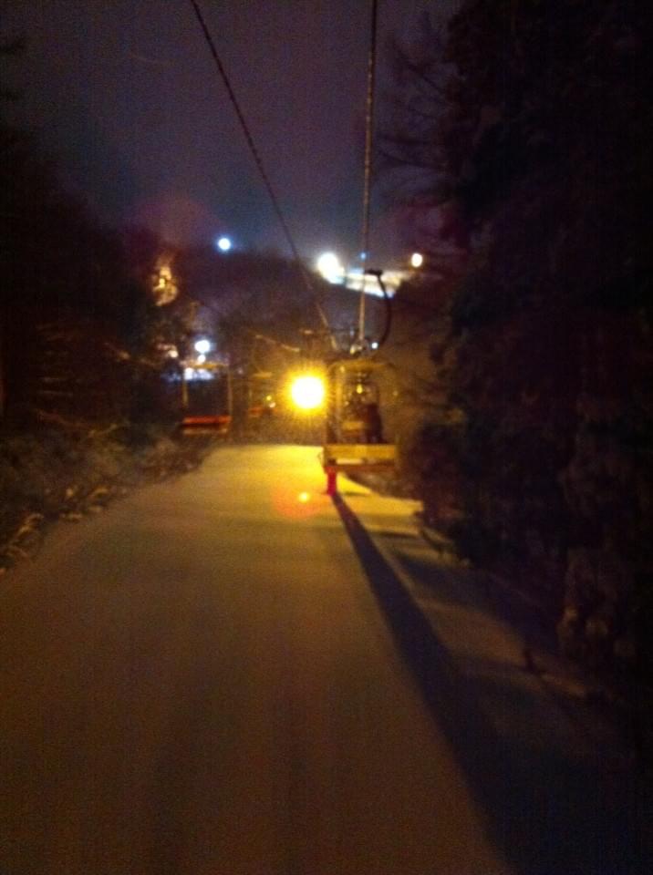 投稿写真