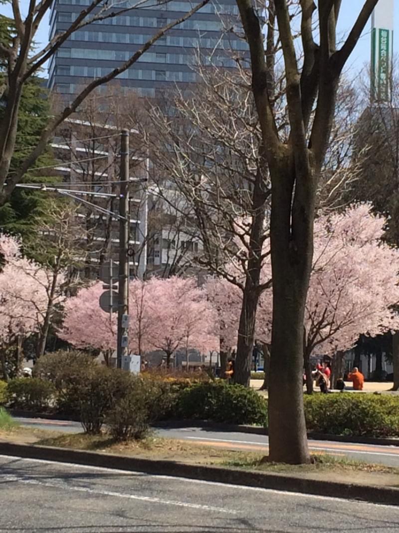 投稿写真