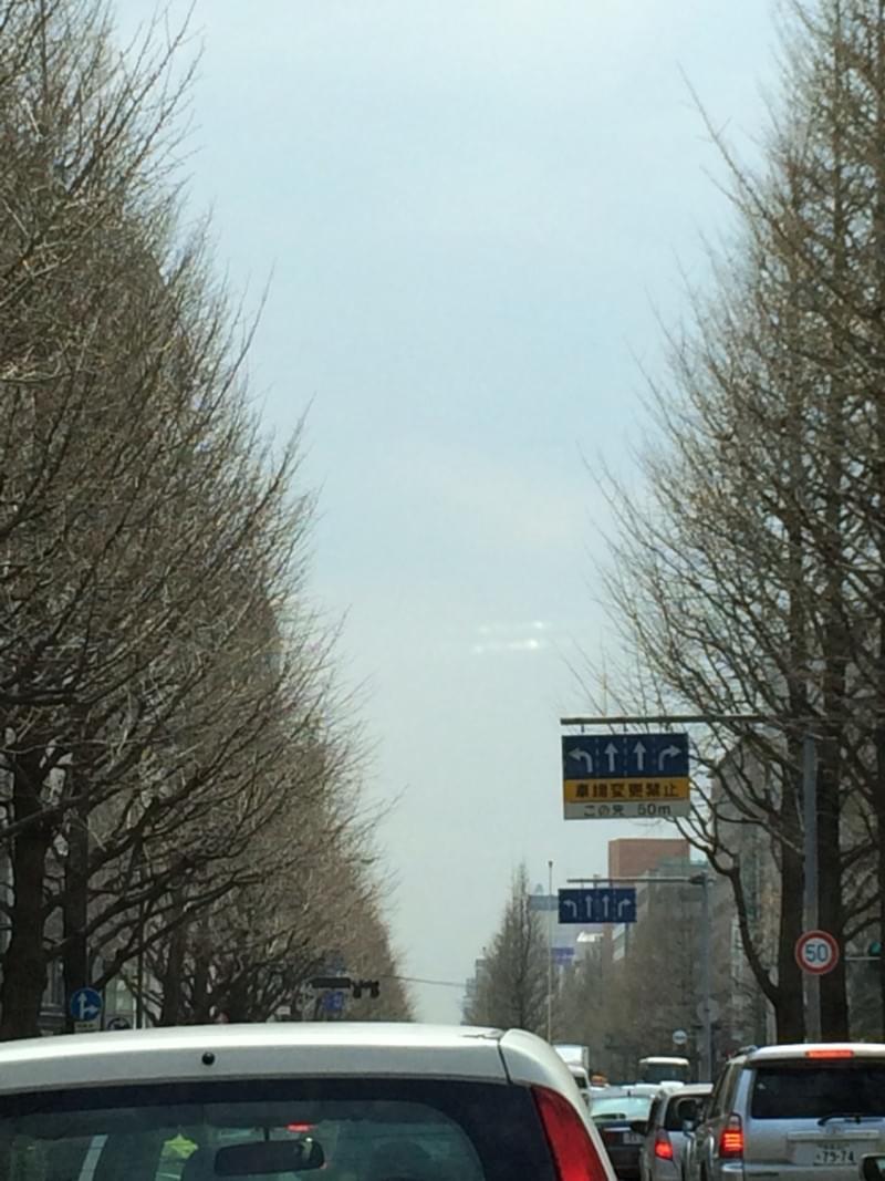 投稿写真