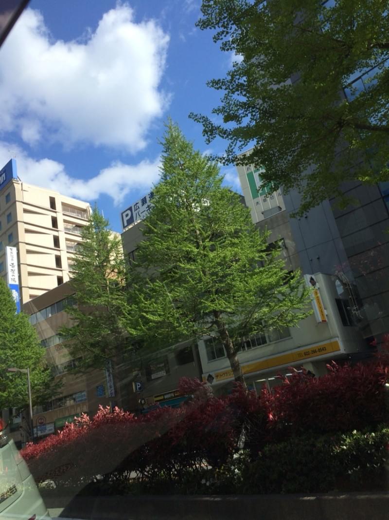 投稿写真