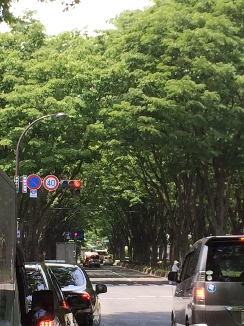 投稿写真