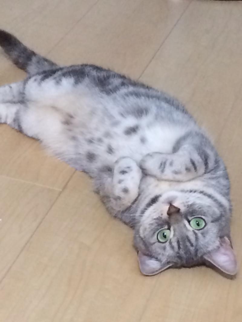 投稿写真