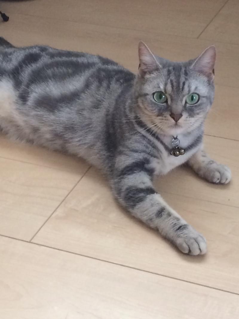 投稿写真