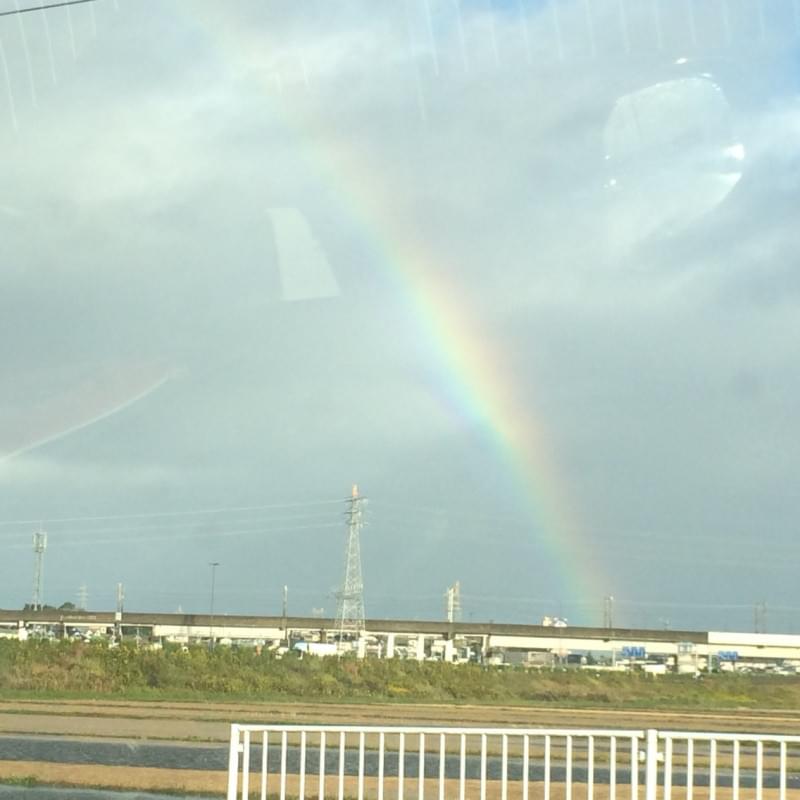 投稿写真
