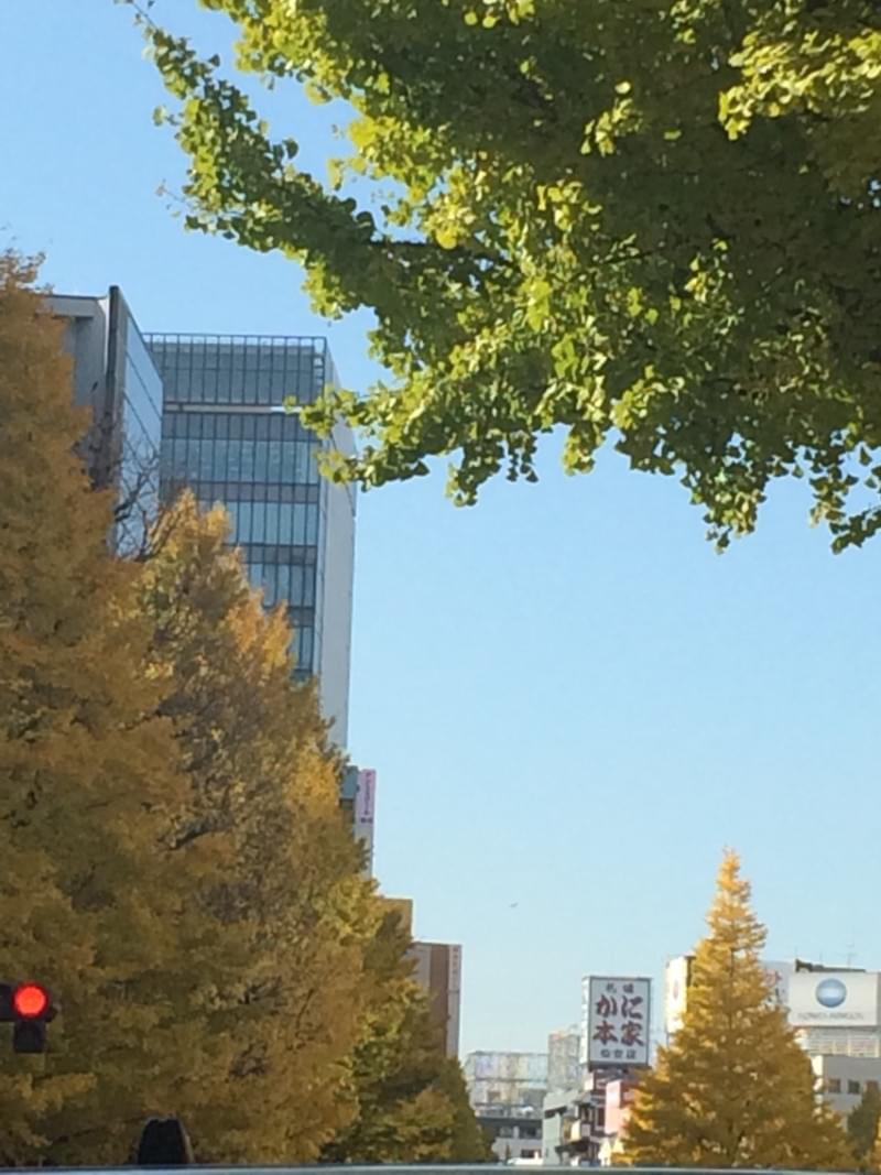 投稿写真