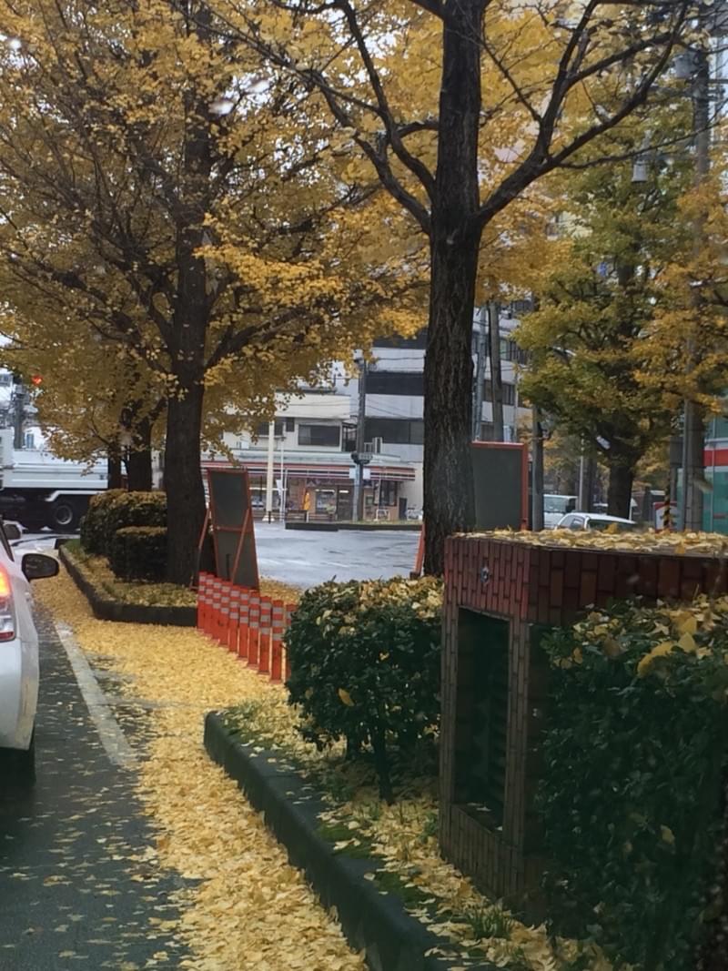 投稿写真