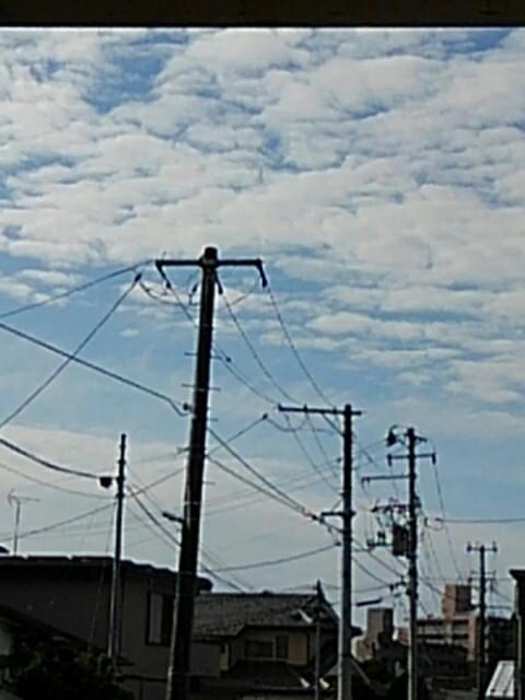 投稿写真