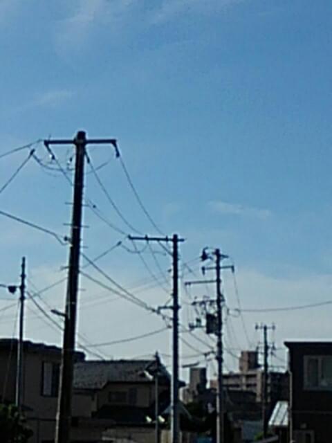 投稿写真
