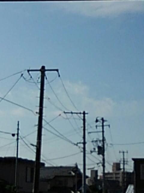 投稿写真