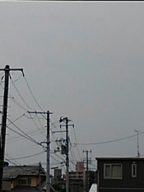 投稿写真
