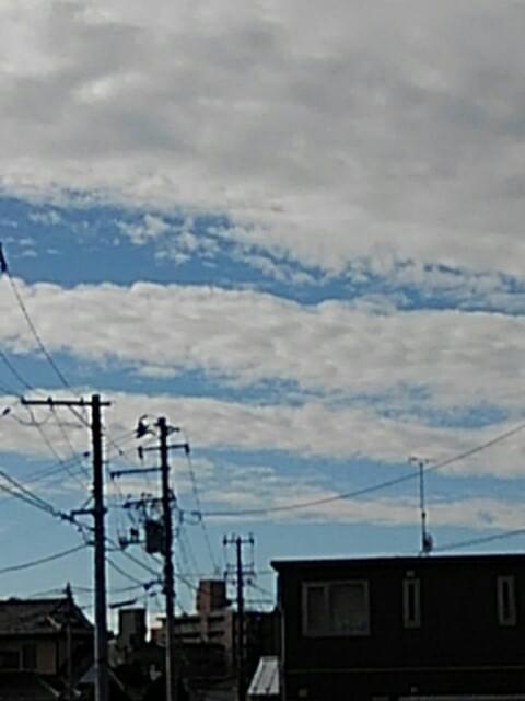 投稿写真
