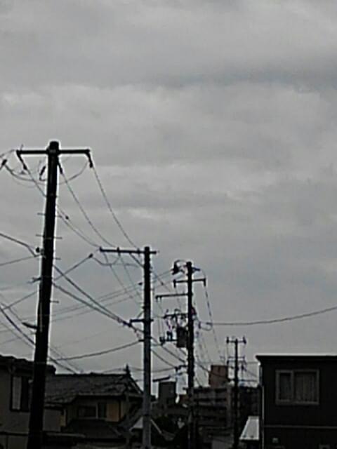 投稿写真