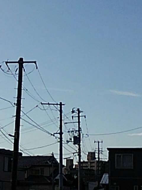 投稿写真
