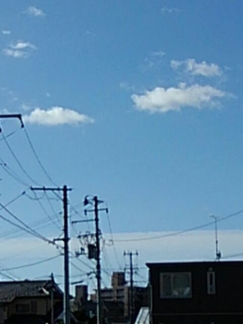 投稿写真