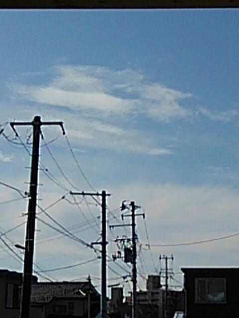 投稿写真