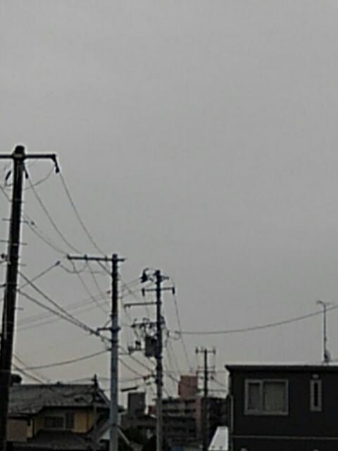 投稿写真