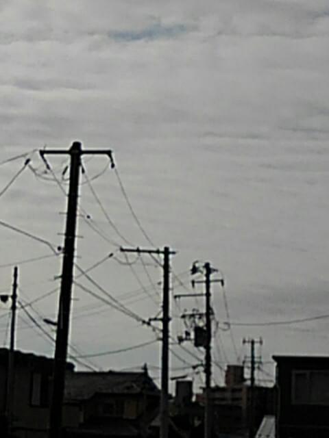投稿写真