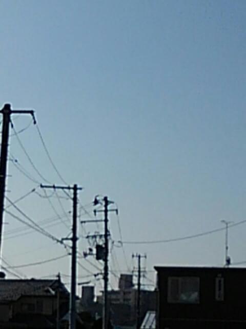 投稿写真