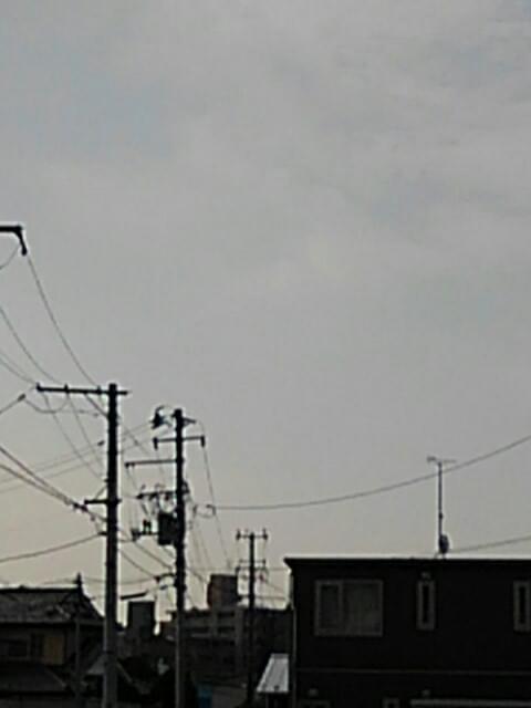 投稿写真