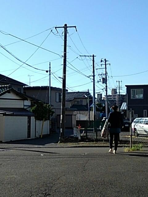 投稿写真