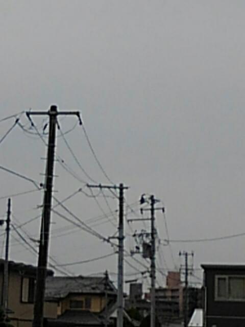 投稿写真