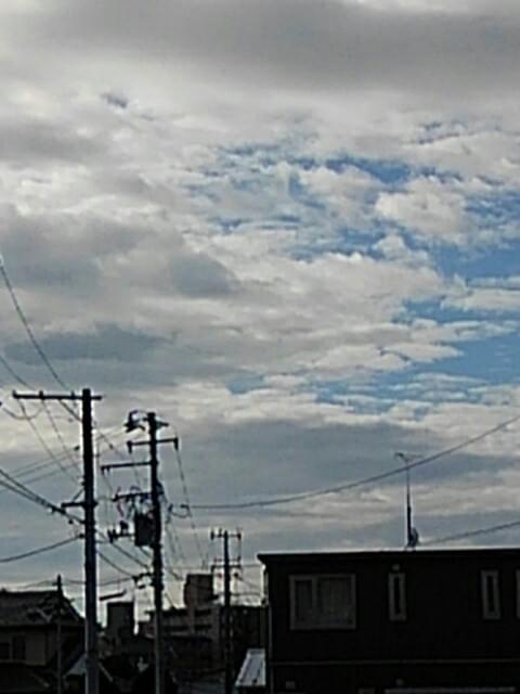 投稿写真