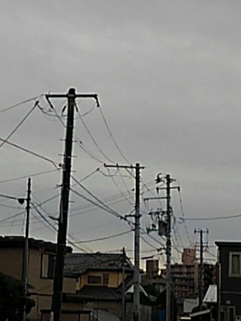 投稿写真