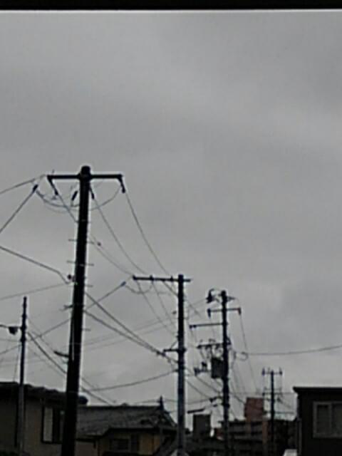 投稿写真