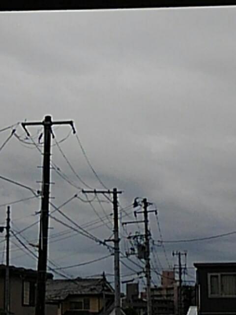 投稿写真