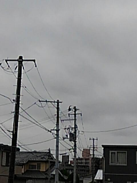 投稿写真