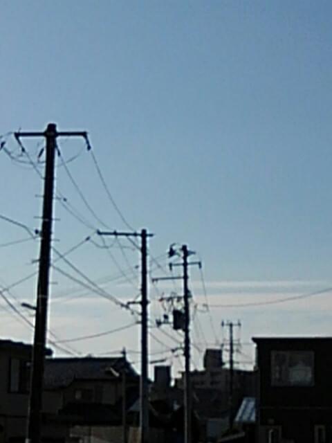 投稿写真
